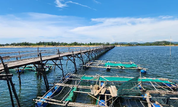 Ông Cọp Wooden Bridge